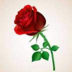 Cari's Avatar