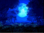 Elle_Moon's Avatar