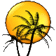 Nezzy's Avatar